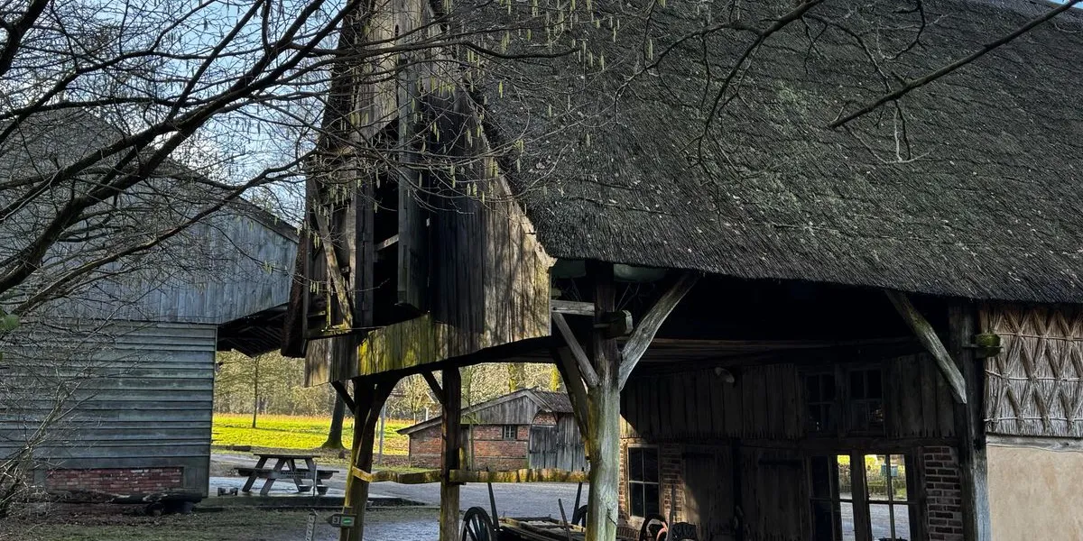 Boerderij met rieten dak